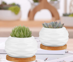 Macetas <span class=keywords><strong>de</strong></span> cerámica <span class=keywords><strong>de</strong></span> tamaño Mini con bandeja <span class=keywords><strong>de</strong></span> bambú, maceta blanca brillante para macetas <span class=keywords><strong>de</strong></span> <span class=keywords><strong>Cactus</strong></span> <span class=keywords><strong>suculentas</strong></span> con agujero, superventas - Product Image 2