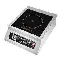 Table de cuisson à induction électrique commerciale concave ou plate 3500W/5000W, grande puissance, pour restaurant, plaque de cuisson, plaque chauffante