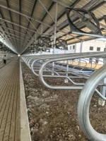 Équipement d'élevage de bonne qualité et de qualité supérieure, système d'arrosage pour ferme bovine fabriqué en Chine
