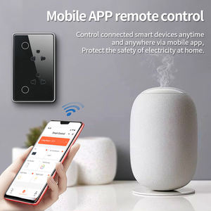 สวิตช์ติดผนังซ็อกเก็ตคู่มาตรฐาน US เข้ากันได้กับ WIFI - Product Image 2