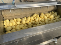 Kleine Industriële Groente Fruit Dunschiller Peeling Machine Slicer Aardappel India