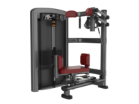 Machine commerciale de rotation de torse d'entraîneur de fessier de forme physique de gymnase de musculation