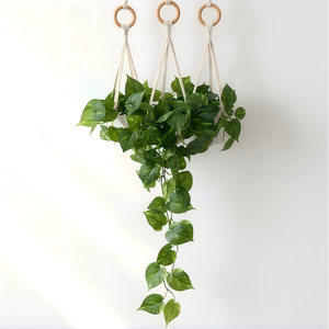 <span class=keywords><strong>Plantes</strong></span> suspendues artificielles réalistes en pot, lierre vert artificiel et <span class=keywords><strong>arum</strong></span> pour la décoration intérieure, la maison, le bureau et le jardin - Product Image 2