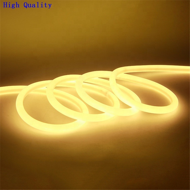 12V 24V 110V 120V 240V 230V RGB RGBW Neon Flexible Led Light Led Flex Neon Led Neon · image 5
