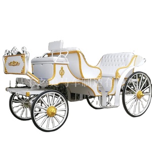 Véhicule touristique électrique en promotion, calèche de tourisme, véhicule décoré sur mesure pour parcs, stations balnéaires et mariages - Product Image 5