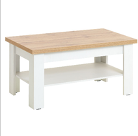 Table basse et plateaux à thé en bois, ensemble en acier inoxydable, pieds métalliques, pour le salon