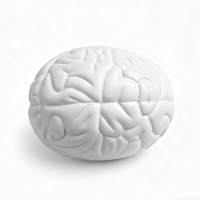 Balle anti-stress en mousse PU personnalisée en forme de cerveau blanche pour garçons et filles de 5 à 7 ans