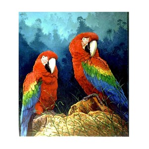 Fait main <span class=keywords><strong>perroquet</strong></span> 5d bricolage diamant peinture sans cadre - Product Image 1