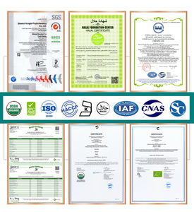 ผงสารสกัดจากเห็ดหลินจือผงสารสกัดจากเห็ดหลินจือเหลืองเห็ด - Product Image 3