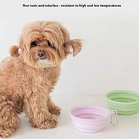 Portable écologique chien chat bol pliant automatique extérieur eau bol d'alimentation avec boîte pour sortir avec des animaux de compagnie