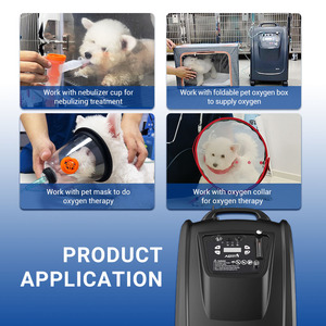 Concentrador de Oxígeno AERTI de 5l para Terapia Veterinaria, Dispositivo Médico Veterinario, Máquina de Suministro de Oxígeno - Product Image 3