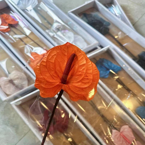 3 pz/5 pz fiori conservati fiori naturali conservati Anthurium veri Fleurs composizioni floreali - Product Image 2