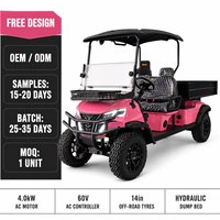 Voiturette de golf 4 kW à moteur AC avec benne de chargement, 2 places, option batterie lithium, pneus tout-terrain, chariot utilitaire sans entretien