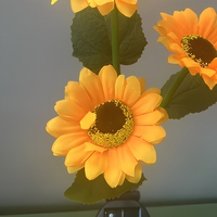 Lampes solaires modernes pour l'extérieur, lampes à fleurs pour cour, décor de balcon et de jardin, éclairage paysager, piquets lumineux d'ambiance