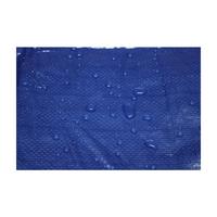 Feuille bleue de bâche de PE de bâche de bâche de couverture de toit de polyéthylène léger imperméable poly
