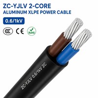 Cable de Alimentación ZC-YJLV de 2 Núcleos, Conductor de Aluminio, Aislamiento XLPE, 0.6/1kV Clase C, Revestimiento de PVC FR, IEC 60502 para Circuito Monofásico