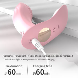 10種類の振動モード アプリリモコン デュアル刺激 内部パルス 外部振動 ウェアラブル バレットバイブレーター - Product Image 6