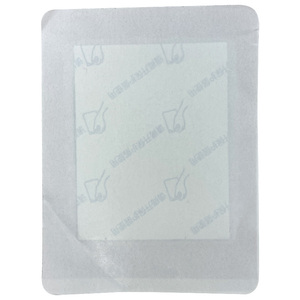 Трансдермальный пластырь для обезболивания с экстрактом женьшеня: впитывается через кожу для обезболивающего действия и поддержки локальной циркуляции - Product Image 6