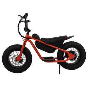 Elektrisches Laufrad Fat Tire Elektro fahrrad Kinder Elektro fahrrad 16 Zoll elektrisches Laufrad