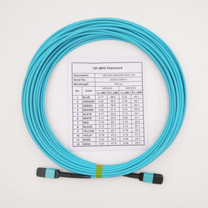 Ruiara OPTICS MPO 8/12/24芯OM4光ファイバーパッチコード（データセンターおよび5Gネットワーク用、1年間保証付き）CN/GUA - Product Image 3