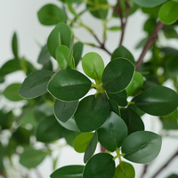 Plante artificielle en pot de haute qualité, herbe milanaise simulée, spécialement conçue pour une utilisation en intérieur et en extérieur