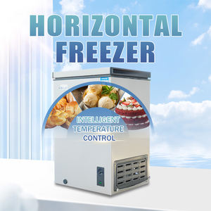 Freezer dada komersial kualitas tinggi kulkas dalam pintu tunggal pendingin langsung 100Liter tampilan dada Freezer untuk toko - Product Image 3