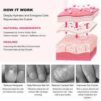 Stylo Huile pour Cuticules – Soin des Ongles Professionnel – Kit de Réparation en Gros – Revitalisant pour la Croissance des Ongles – Ensemble de Manucure