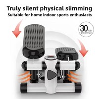Nouvel Arrivage Transfrontalier : Stepper Silencieux d'Intérieur pour Exercice et Perte de Poids, Petit Appareil Elliptique à Corde de Traction Hydraulique pour la Maison 38x30x20CM