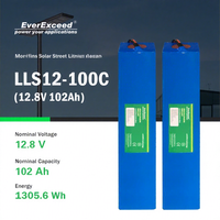 Modul Baterai Lithium Ion OEM Fleksibel untuk Penerangan Jalan Sistem Off Grid dan Penyimpanan Energi Mobile