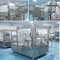 Automatische vul- en afsluitmachine voor smoothie fruitsap in spuitzakken, Doypack systeem voor puree