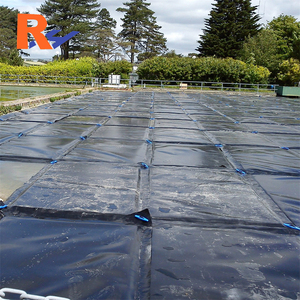 Geomembrana de HDPE para Revestimiento de Estanques de Lodos Petroleros, Pozos de Perforación, Plantas de Tratamiento de Aguas Residuales Industriales y Lagunas de Residuos Agrícolas - Product Image 2