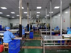 Bebida th vert de <span class=keywords><strong>te</strong></span> china, regalo de Año Nuevo, <span class=keywords><strong>Chun</strong></span> <span class=keywords><strong>mee</strong></span>, hojas de té verde, fábrica 41022 - Product Image 5