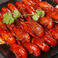 Écrevisses entières précuites surgelées Saveur originale juteuse naturelle Homard d'eau douce sans additifs