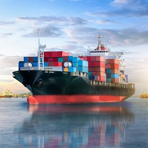 Transporte Especial Económico, Servicio BHC FCL LCL de China <span class=keywords><strong>a</strong></span> Estados Unidos, Transporte Especial de Muebles, Artículos de Belleza, Electrodomésticos, DDP por Mar - Product Image 2
