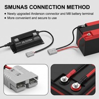 Chargeur de batterie LiFePO4 29,2 V (24 V) 20 A, charge rapide, activation de la batterie à 0 V, haute efficacité pour batterie LIPO 24 V 100 Ah 200 Ah