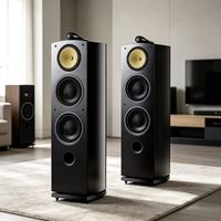 WZ-801 Enceinte colonne Hi-Fi, tweeter à pavillon, double woofer, noir mat, enceinte passive, audiophile, pour système stéréo domestique