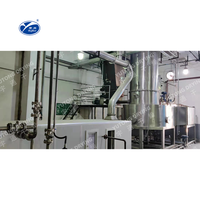 Secador giratorio de Celulosa microcristalina industrial multifuncional modelo SXG de alta calidad