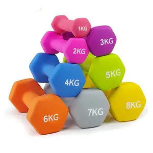 Relevage de panneaux de gymnastique, 10 pièces, poignées réglables, revêtues de néoprène, ensemble de haltères en néoprène, poids à la main, 1kg 2 kg 3kg 4kg 5kg, vente en gros