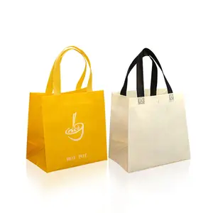 Imperméable Non tissé mignon personnalisé à emporter sac vêtements haut de gamme portable paquet cadeau shopping sac d'emballage