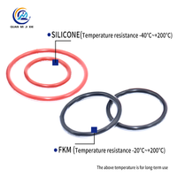 Joint d'étanchéité en silicone Atlas O-ring résistant aux produits chimiques, encapsulé en PTFE, FKM haute température, revêtu de FEP pour vannes de traitement chimique