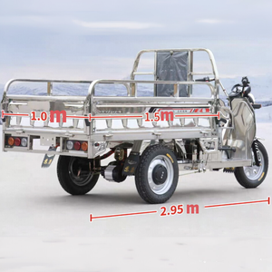 Triciclo Elettrico <span class=keywords><strong>da</strong></span> Carico a 3 Ruote, Veicolo Utilitario Pesante con Capacità di Carico di 1000kg, Carrello per <span class=keywords><strong>Trasporto</strong></span> e Consegna in Fattoria in Acciaio Inossidabile - Product Image 2