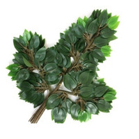 QSLH-CF116 Vente chaude Feuilles artificielles Plantes vertes Feuillage en soie Feuilles de ficus Plantes artificielles Feuilles de banian pour mariage