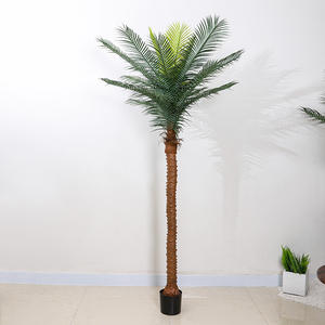 Tropical extérieur artificiel vert <span class=keywords><strong>grand</strong></span> arbre de noix de coco en <span class=keywords><strong>pot</strong></span> en <span class=keywords><strong>plastique</strong></span> en gros arbustes extérieurs <span class=keywords><strong>pour</strong></span> l'aménagement paysager d'ingénierie - Product Image 2