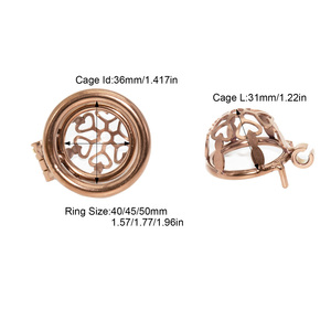 Jaula <span class=keywords><strong>para</strong></span> pene pequeña <span class=keywords><strong>de</strong></span> acero inoxidable, Dispositivo <span class=keywords><strong>de</strong></span> Castidad <span class=keywords><strong>para</strong></span> hombre, bloqueo <span class=keywords><strong>de</strong></span> pene, dispositivo <span class=keywords><strong>de</strong></span> abstinencia <span class=keywords><strong>para</strong></span> la parte inferior del cuerpo, Juguetes sexuales <span class=keywords><strong>para</strong></span> hombres - Product Image 6