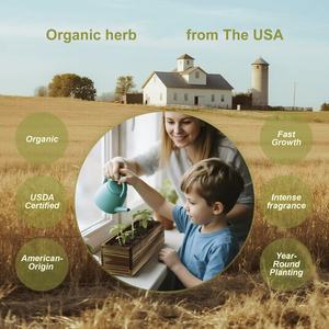 Kit complet d'arbre à <span class=keywords><strong>bonsaï</strong></span> d'intérieur unique de style campagnard avec outils de <span class=keywords><strong>bonsaï</strong></span> faits de pots en fibre - Product Image 4