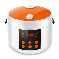 Mini cuiseur à riz numérique multifonction 1,0 L, pour riz, bouillie, soupe, nouilles, gâteaux, double revêtement antiadhésif, 350W