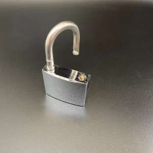 Candado de Latón chapado para equipaje, candado antirrobo de alta calidad de 35mm para equipaje - Product Image 3