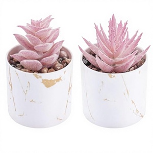 Set di 2 Piante Succulente Artificiali Mini in Vaso, Accessori da Scrivania, Decorazione Rosa per Casa e Vanità - Product Image 2