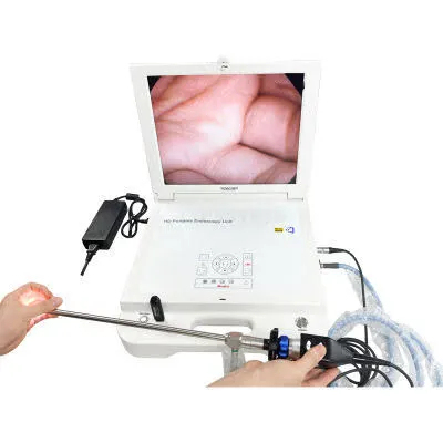 17 Inch 4 in 1 Endoscopic hd Camera Portable Medical Endoscope 720p Camera for Mobile Medical