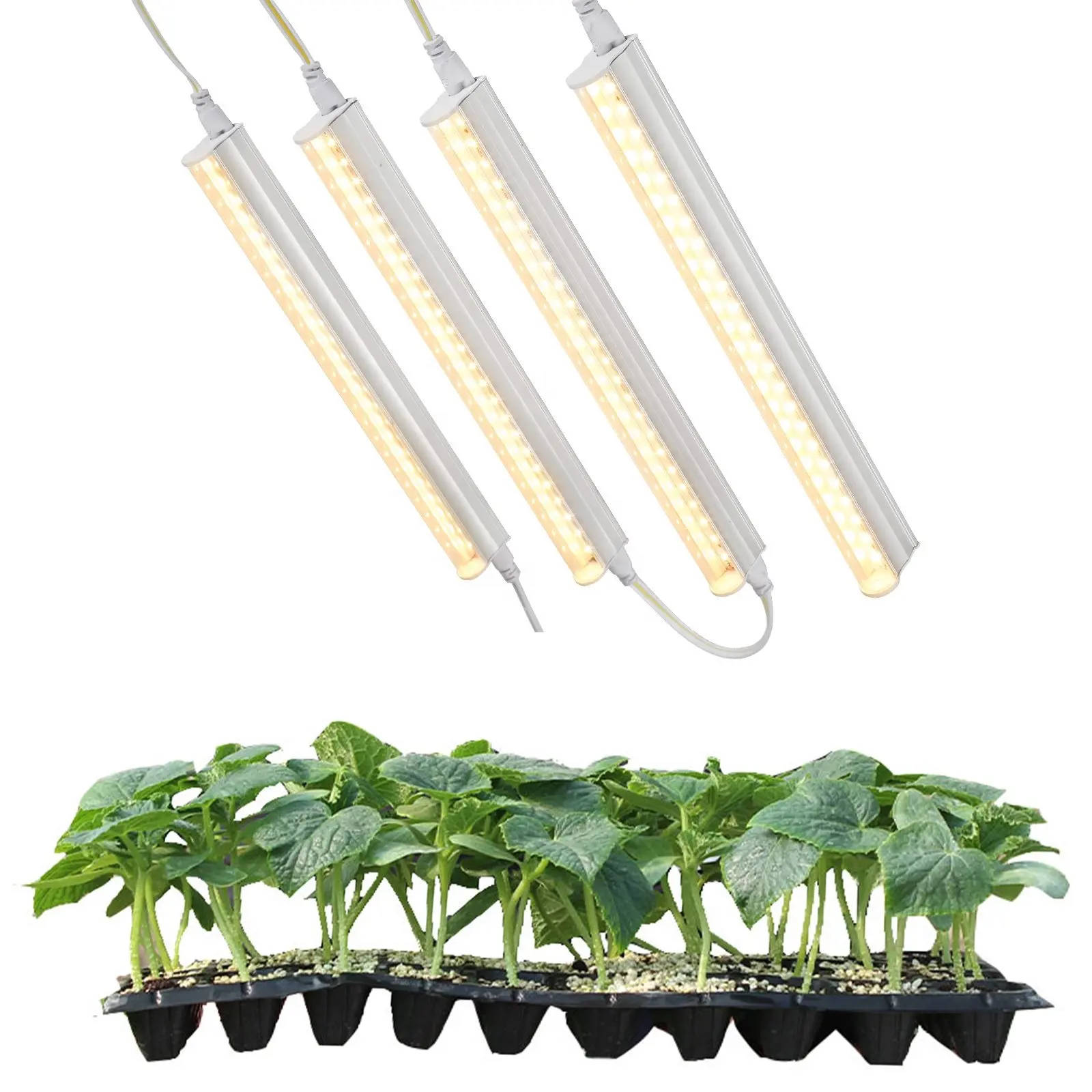 Lâmpadas led de espectro completo, 1 pés, t5, tubo, 4 pacotes, para plantas, para áreas internas, para crescimento
